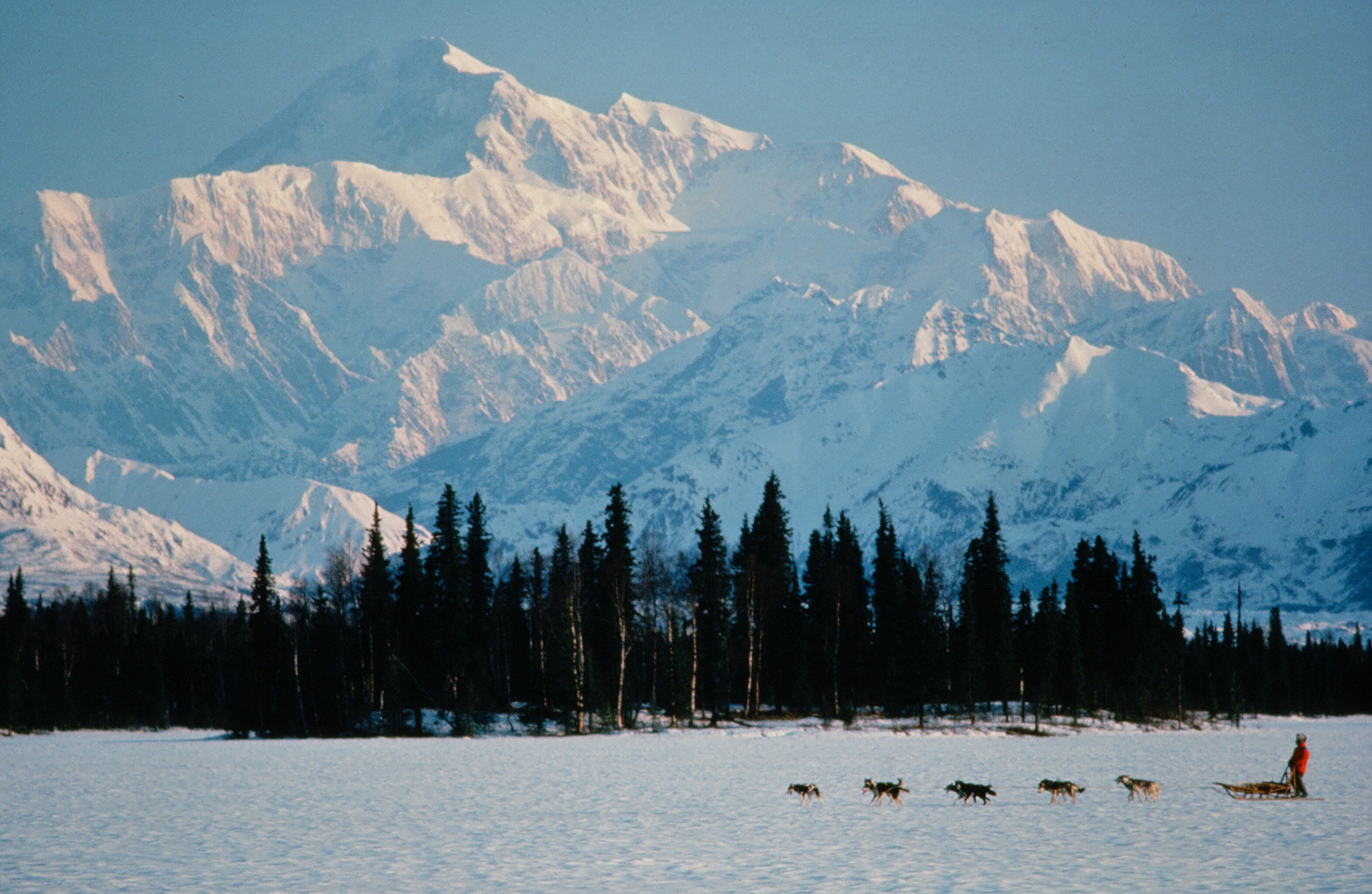 Iditarod Race in Alaska