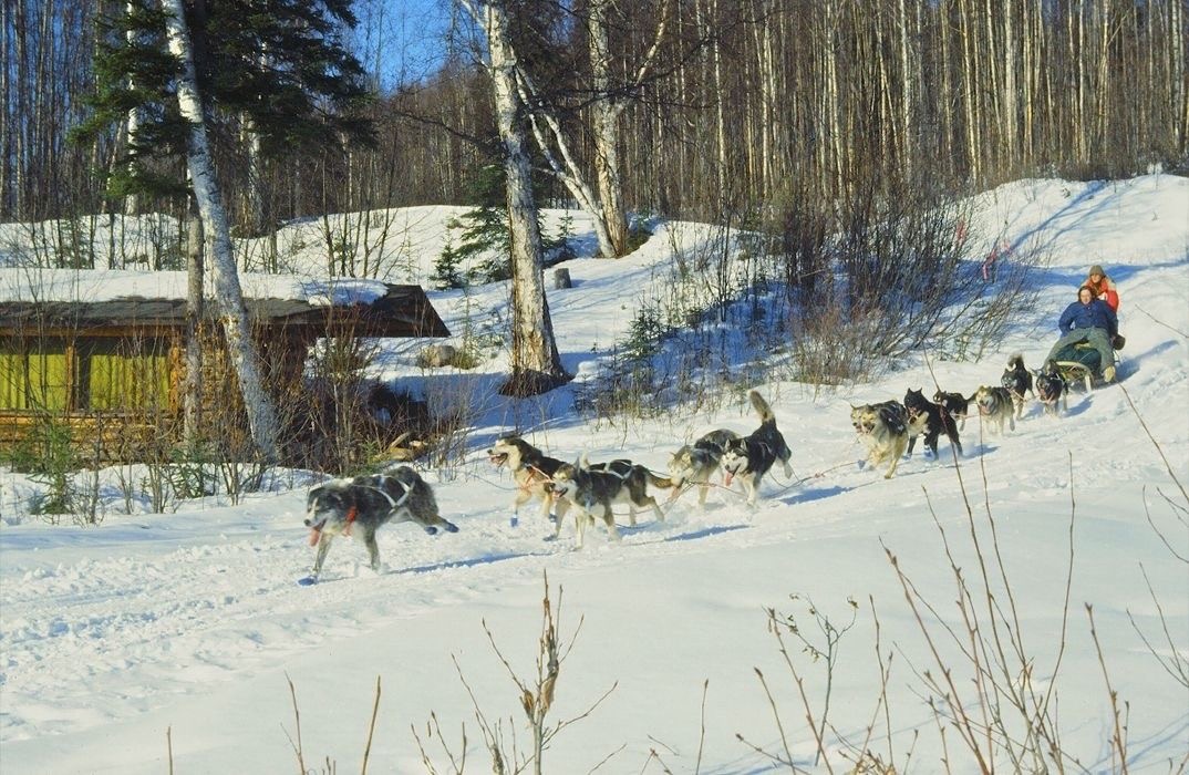 Dogsledding in Alaska
